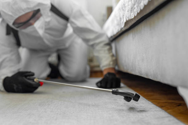 Professional Termite Control technician working in Buckner, KY