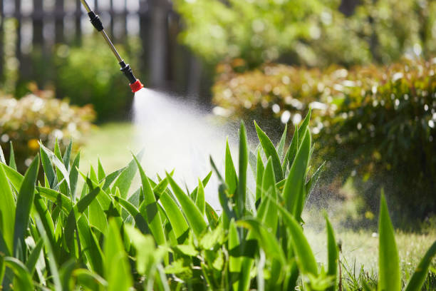 24/7 Emergency Termite Control experts in Buckner, KY